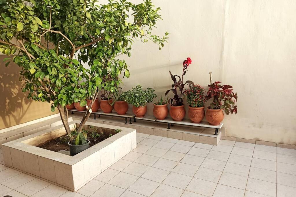 Jilda S Apartment With Private Garden! Nafplion Exteriör bild